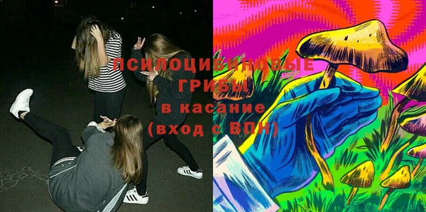 не бодяженный Арсеньев
