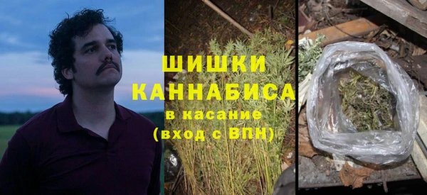 амф Аркадак