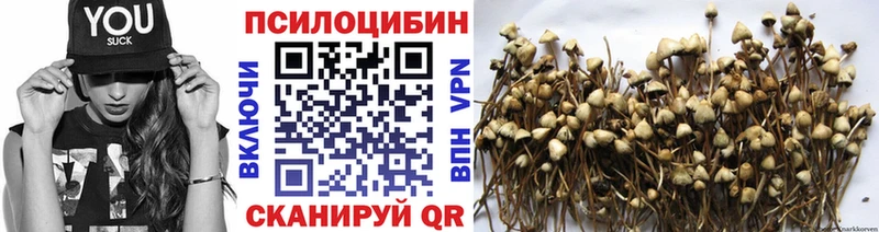 Галлюциногенные грибы Psilocybe  Усинск 